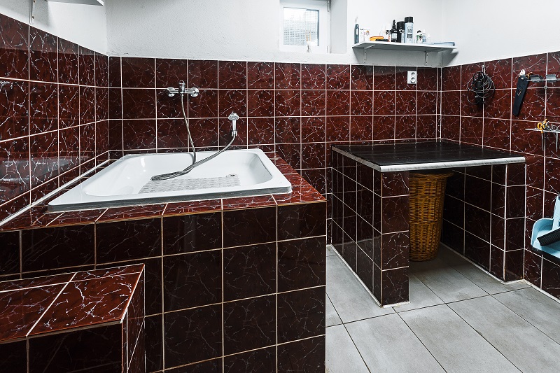Psí salón Košice a okolie VETERAS s.r.o.
